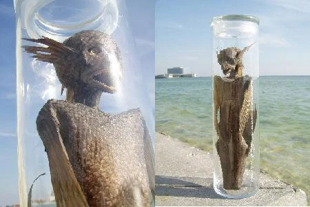 Thực hư quái vật người cá được rao bán giá cả nghìn USD ảnh 2